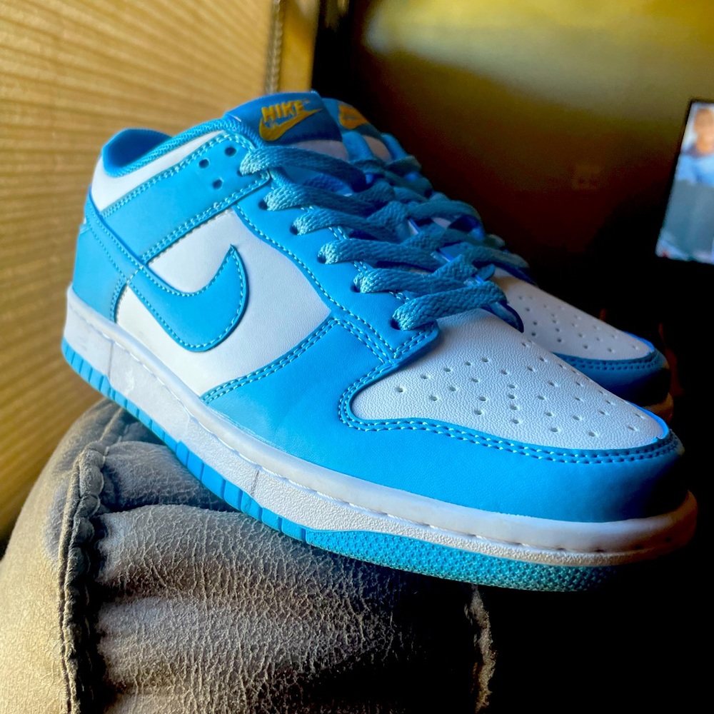 Nike Dunk Low “Coast”